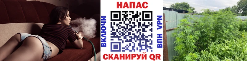 Наркошоп купить ГАШ  Конопля  Мефедрон  Мариинский Посад