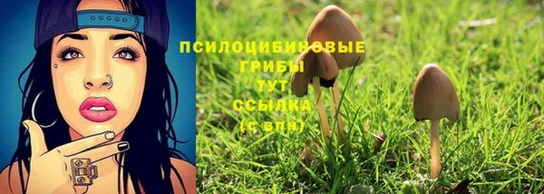 ALPHA PVP Красноперекопск