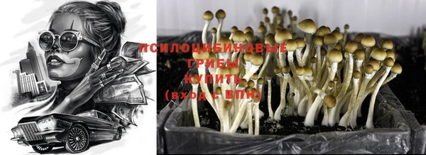 ALPHA PVP Красноперекопск